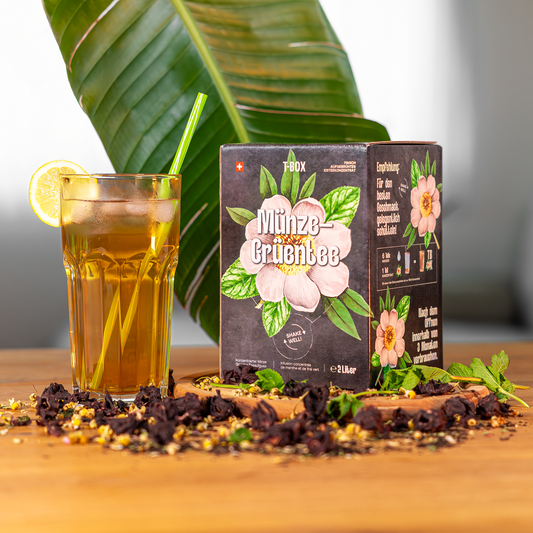 4er Box Grüntee Minze