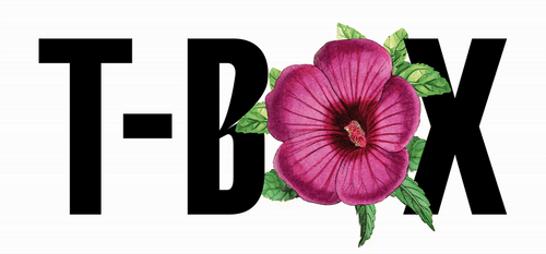 t-box-schweiz